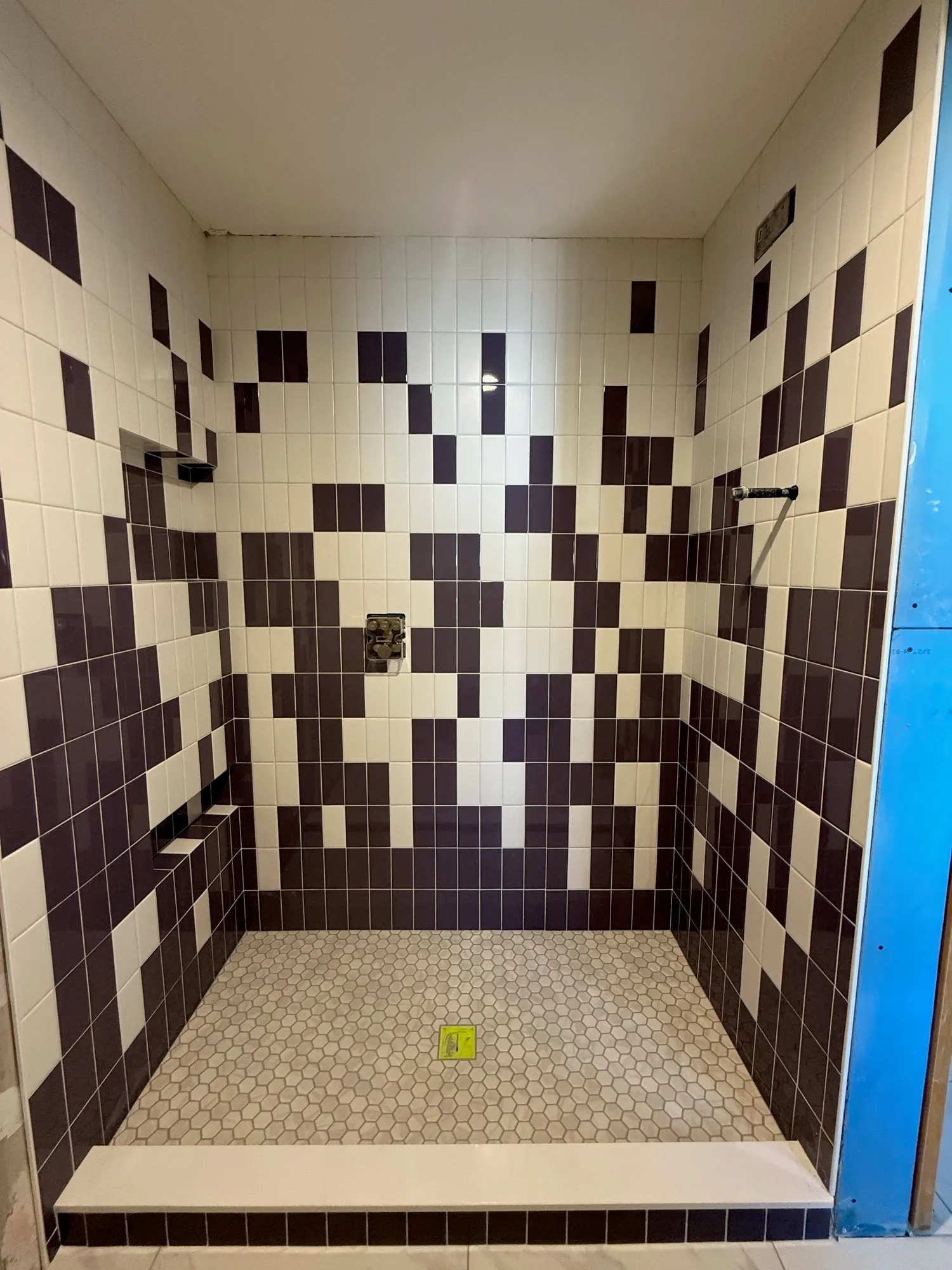 Shower walls in a purple-and-white checkerboard tile pattern with a penny-round floor